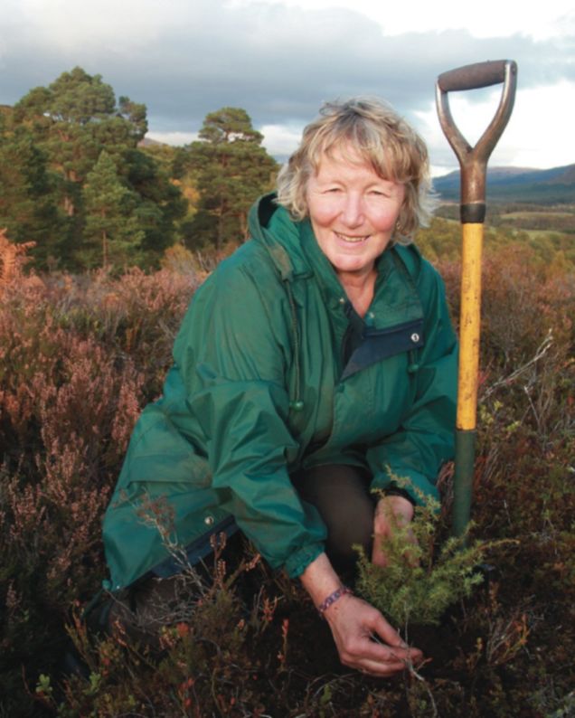 Trees for Life volunteer Frances Wright with juniper seedling Dundreggan