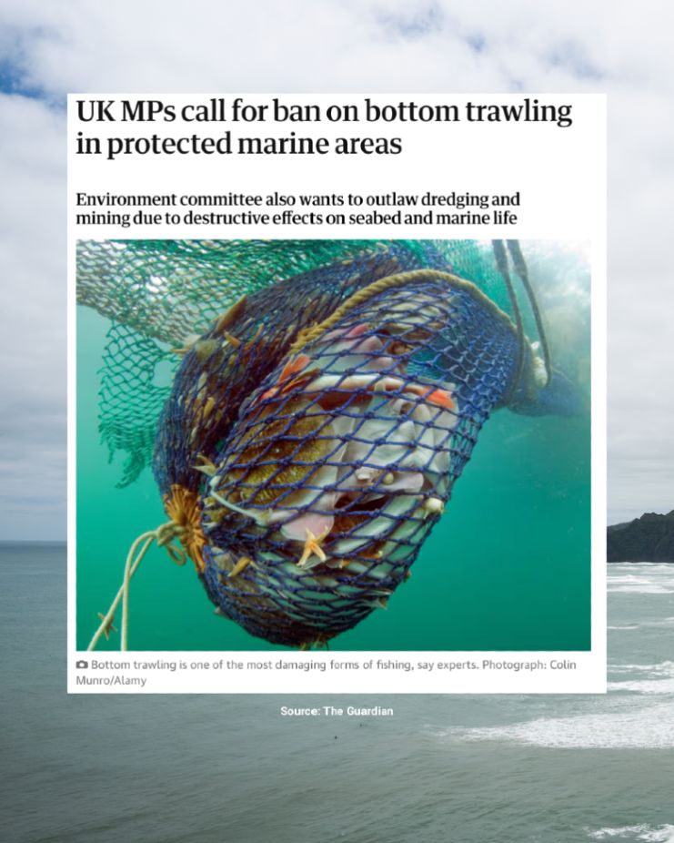 Screenshot of a Guardian news story overlayed on a background photo of the sea. The news story is titled: UK MPs call for ban on bottom trawling in protected marine areas'.