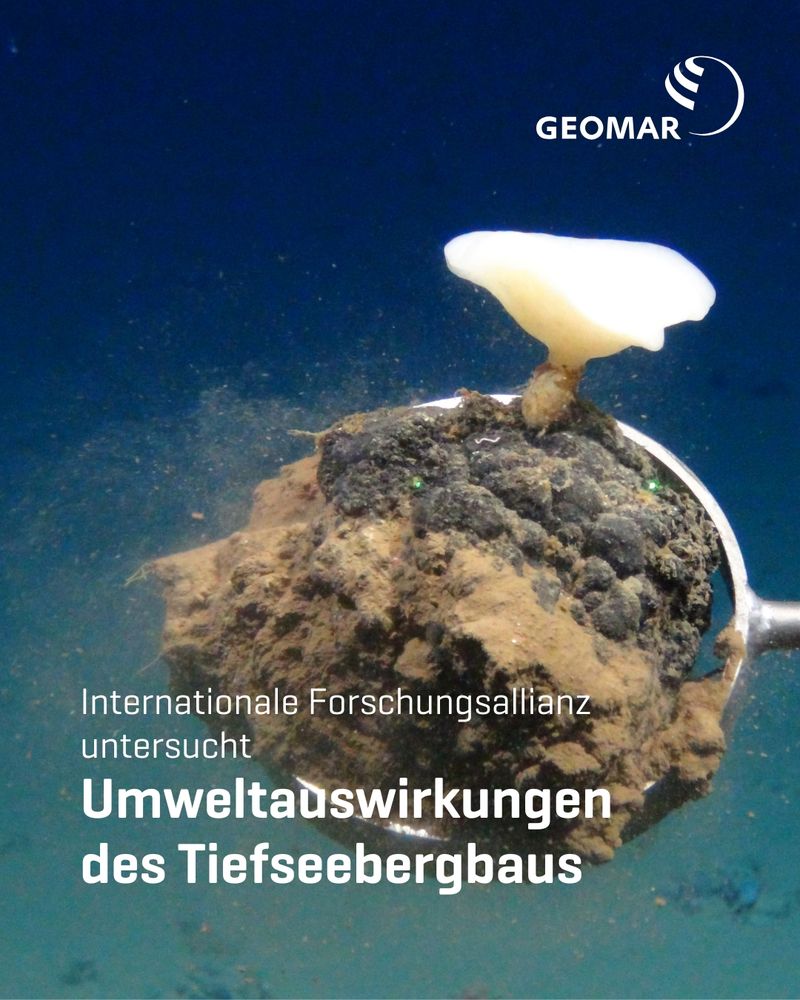 Manganknolle auf Greifarm eines Tiefseeroboters.
