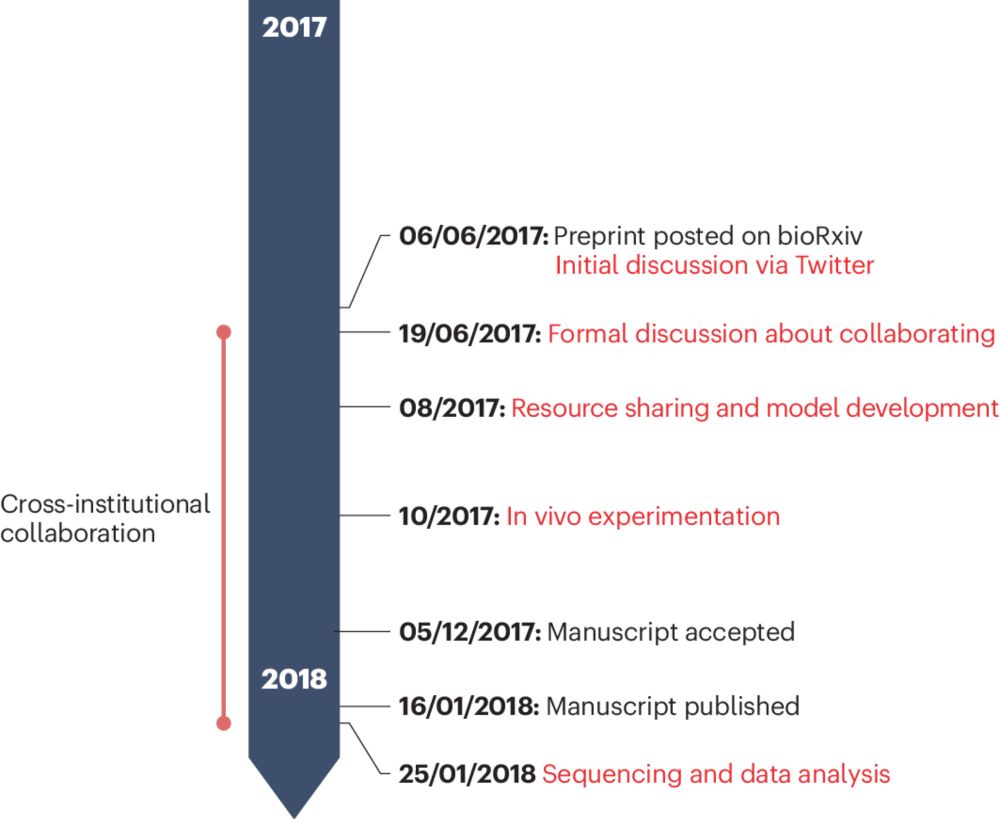 Preprints as tools to advance careers