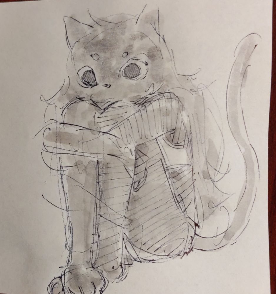 Sunny is a cat girl with black fur. She's sitting with her knees pulled up to her chest and looking right at the viewer.
