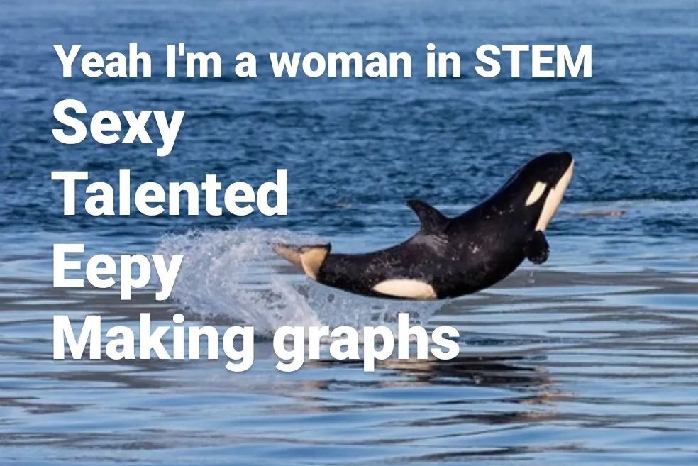 A meme that says “yeah I’m a woman in STEM: Sexy, Talented, Eepy, Making graphs” with a cute jumping baby orca 