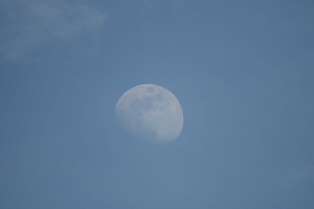Waxing gibbous moon