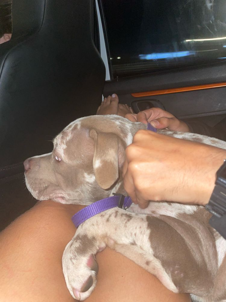 Do nada um rolezinho🥰