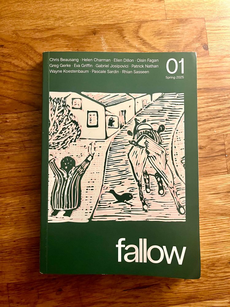 first issue of fallow magazine: poetry, essays and fiction; Chris Beausang, Helen Charman, Ellen Dillon, Oisín Fagan, Greg Gerke, Eva Griffin, Patrick Nathan, Wayne Koestenbaum & Rhian Sasseen. Interviews with Pascale Sardin and Gabriel Josipovici. https://fallowmedia.com/shop/fallow-01