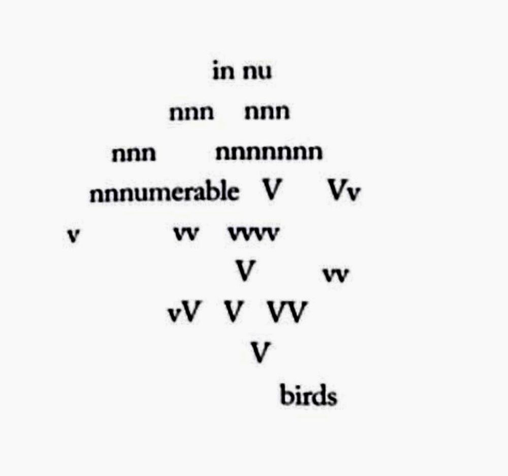 V
in nu nnn nnn
nnn
nnnnnnn
nnnumerable V
w wwv
V
vv V VV
V
Vv
vv
birds