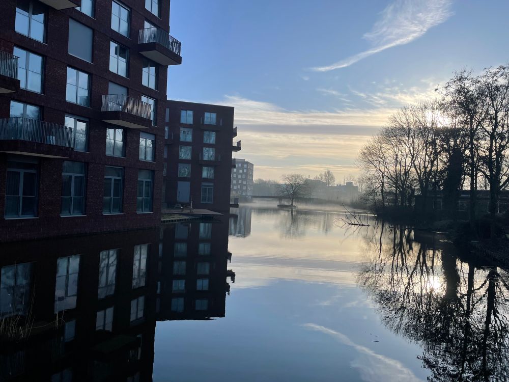 Buildings and trees mirrored in pond during sunrise