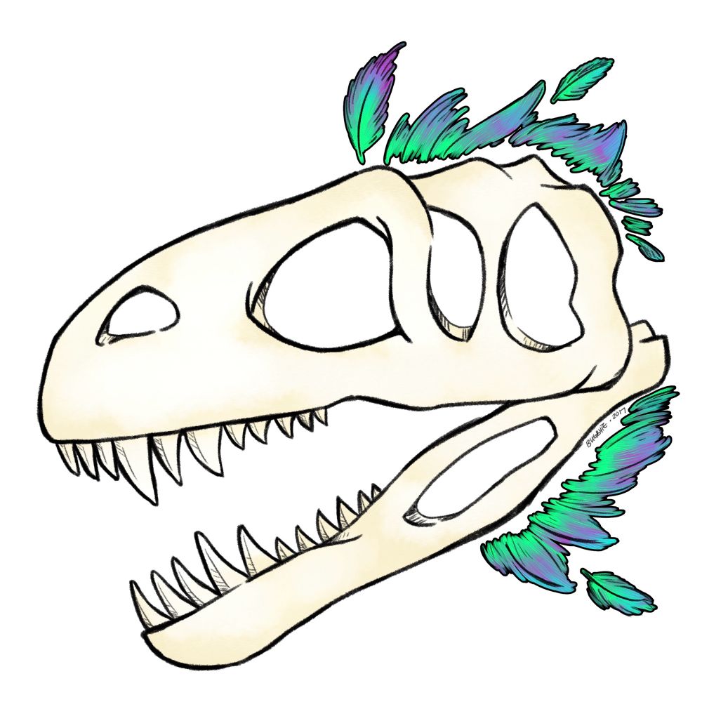 A drawing of a megalosaurus skull with teal and purple feathers along the back.