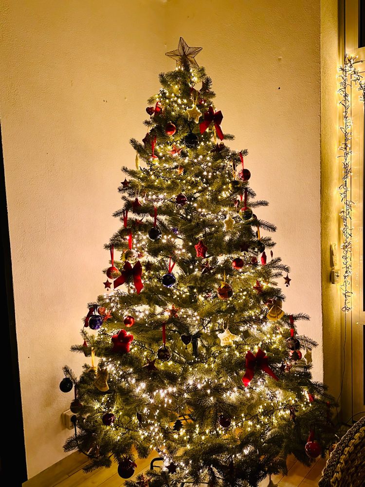 Illuminated Christmas tree with many different ornaments and stars.