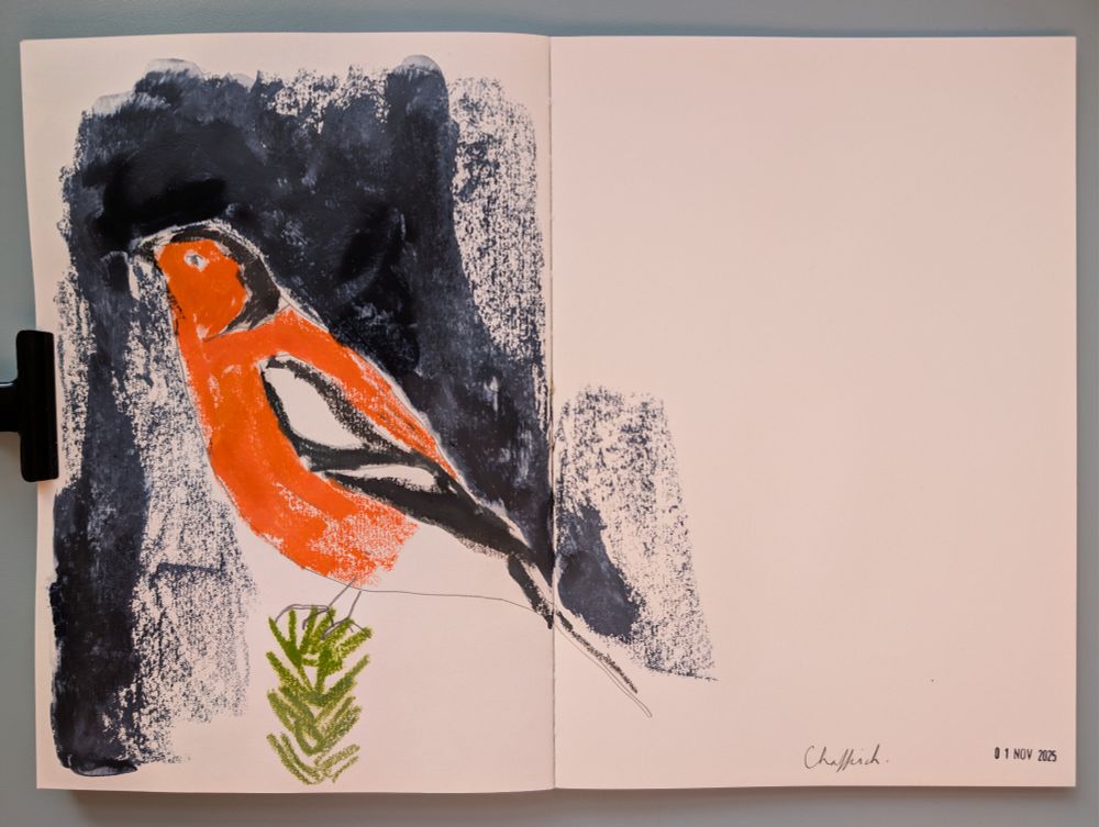 Pencil and crayon drawing of a chaffinch in my sketchbook 