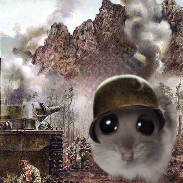 Sad hamster meme wearing helmet, and soldiers and a battlefield in the background 
