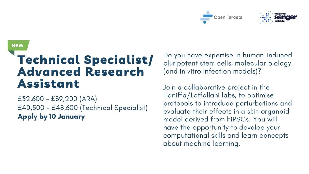 Text reads: Technical Specialist/ARA. £32,600 - £39,200 (ARA)
£40,500 - £48,600 (Technical Specialist)
Apply by 10 January
Do you have expertise in human-induced pluripotent stem cells, molecular biology (and in vitro infection models)?

Join a collaborative project in the Haniffa/Lotfollahi labs, to optimise protocols to introduce perturbations and evaluate their effects in a skin organoid model derived from hiPSCs. You will 
have the opportunity to develop your computational skills and learn concepts about machine learning.