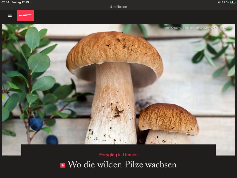 Cover einer Zeitschrift, das Foto zeigt 2 Steinpilze und wilde Blaubeeren. Text: Foraging in Litauen, Wo die wilden Pilze wachsen. 