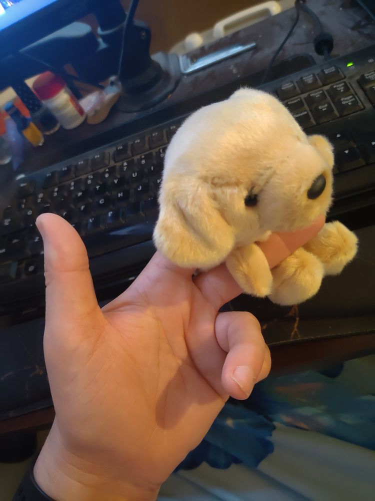 A picture of me holding a small golden retriever plushie between my index and middle finger as if it were a cigarette