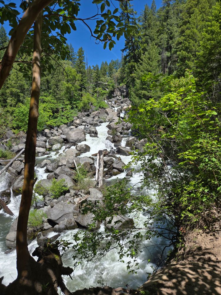 Long river cascade over boulders. Trees on both banks.
