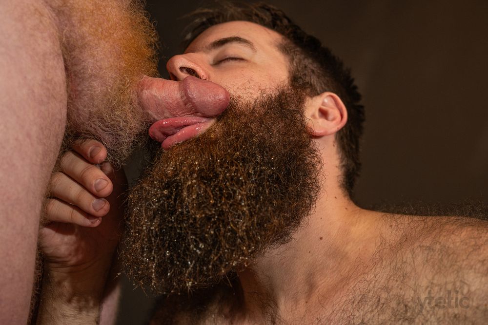 Four low key colour photos on black backdrop. Closeup on CLD's face, DD's cock half-hard; progressive stages of DD saturating CLD's beard with piss. 