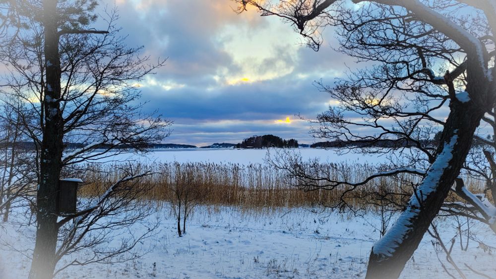 Kuva kahden puun välistä kohti lumen ja jään peittämää merta ja jonkin matkan päässä olevia saaria. Rannassa luminen maa ja kaislikkoa. Pilvinen taivas.