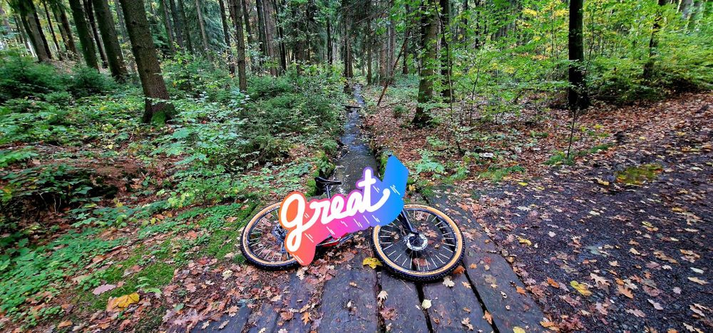Im Vordergrund führt ein teils laubbedeckter Schotterweg von links unten nach rechts oben. In der Mitte aber mit einer Holzüberführung über einen kleinen Bach, welcher nach hinten weg führt. Links und rechts davon viele Bäume und Sträucher. Auf der Holzüberführung liegt mein Fahrrad.