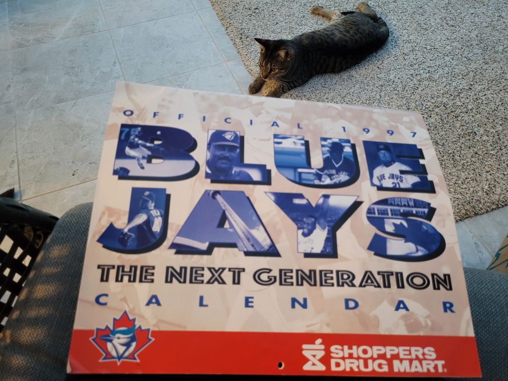 Cover of Blue Jays 1997 calendar by Shoppers Drug Mart. A cat lounges in the background.