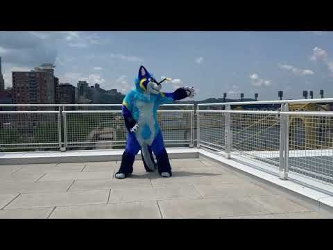 Fritz Drachen Morning In Brazil Freestyle