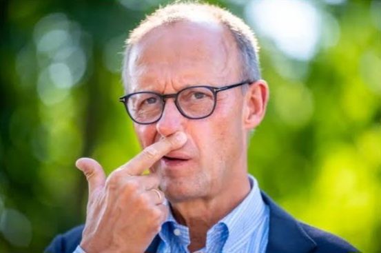 Foto von Friedrich Merz, wie er sein Gesicht verzieht und sich die Nase reibt, wie Wickie, bevor er eine ganz tolle Idee hat.