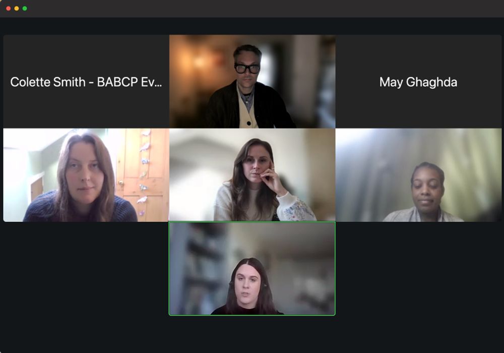Screenshot of webinar
