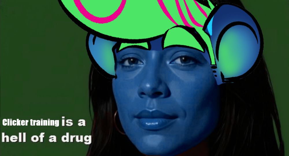 clicker training is a hell of a drug