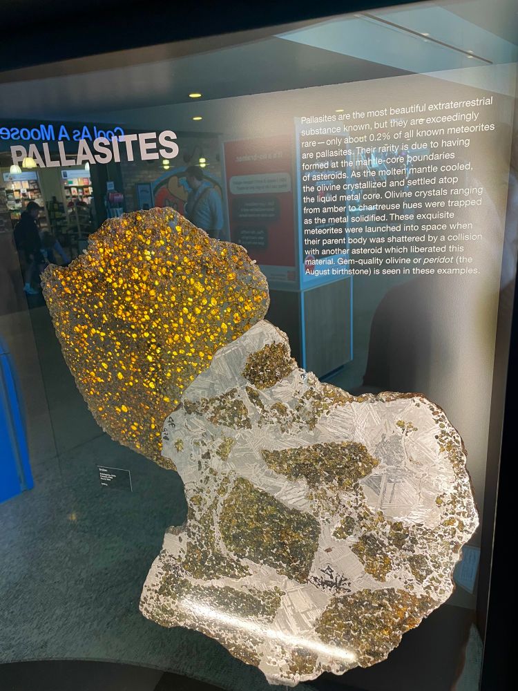 Image of exhibit of minerals with descriptor: “Pallasites are the most beautiful extraterrestrial substance known, but they are exceedingly rare - only about 0.2% of all known meteorites are pallasites. Their rarity is due to having formed at the mahtle-core boundaries of asteroids. As the molten mantle cooled, the olivine crystallized and settled atop the liquid metal core. Olivine crystals ranging from amber to chartreuse hues were trapped as the metal solidified. These exquisite meteorites were launched into space when their parent body was shattered by a collision with another asteroid which liberated this material. Gem-quality olivine or peridot (the August birthstone) is seen in these examples.”