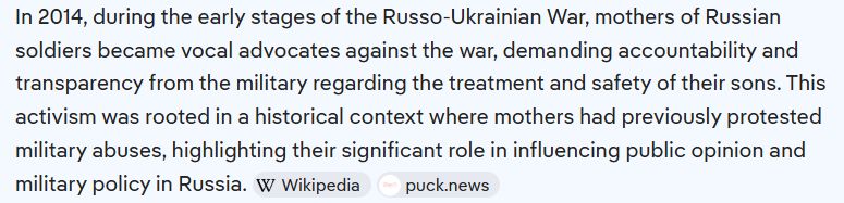 AI snip taken 11/29/25 regarding Russian mothers demanding their sons come home.