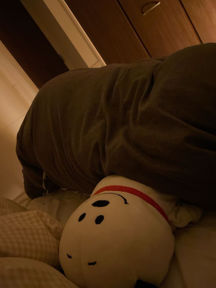 人間が寝ている布団をこたつだと思ってるスヌーピー風ぬいぐるみ