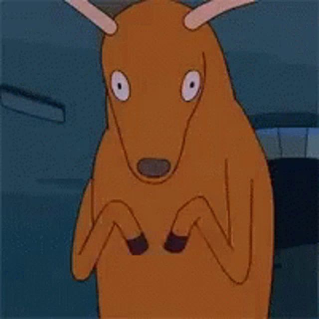 a cartoon drawing of a kangaroo looking at the camera