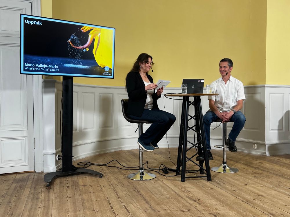 Kulturnatten interview