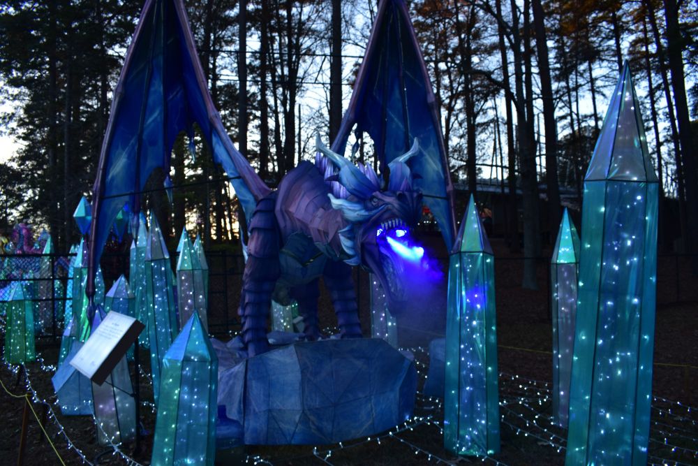 Ice Dragon breathing blue flames at the Chinese Lantern Festival in Cary, NC.
