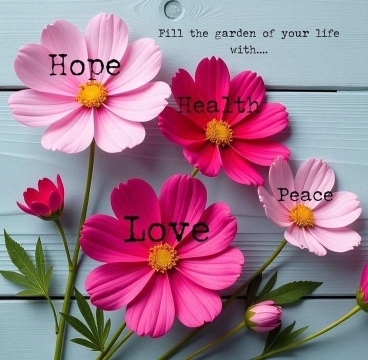 Fill the garden of your life with
Hope
Health
Peace
Love 