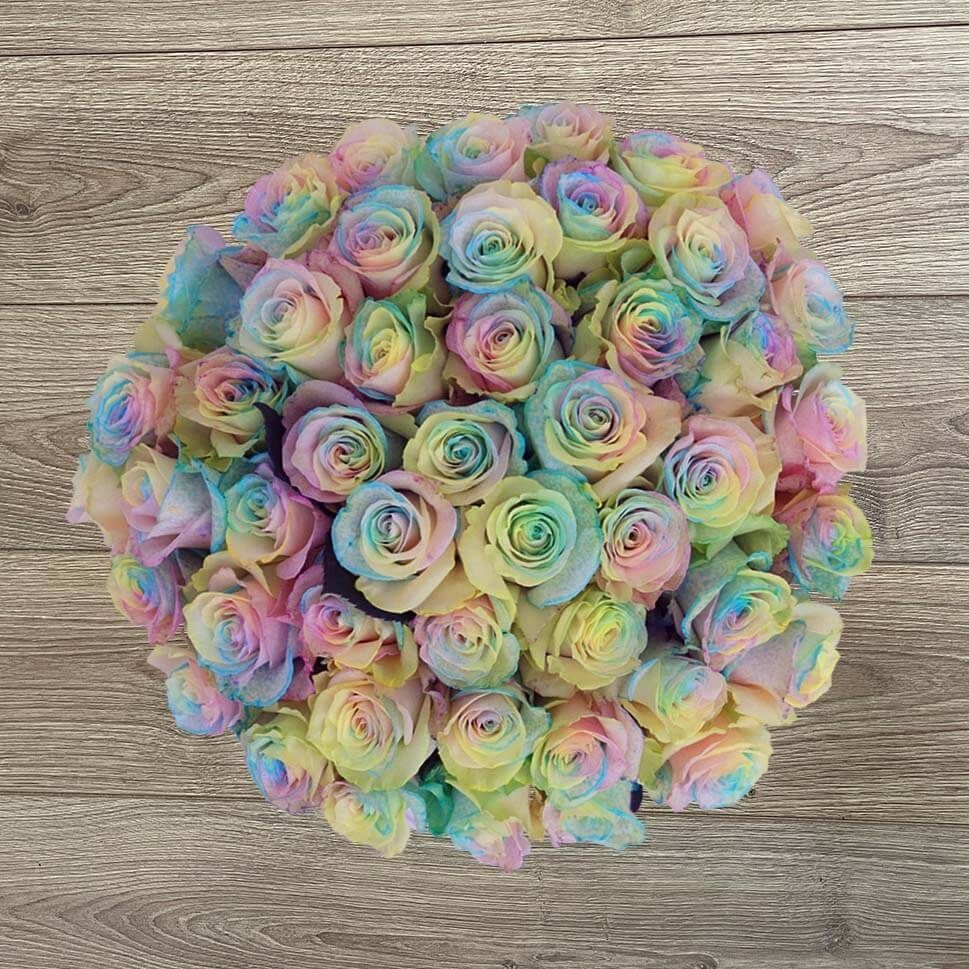 Pastel rainbow roses