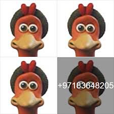 Many, many images of Ginger from Chicken Run.