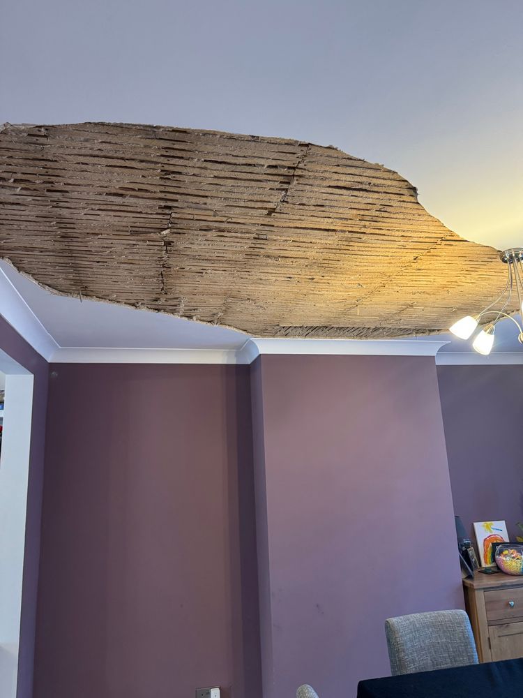Exposed lath and plaster ceiiing. 