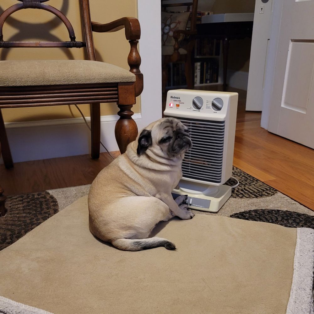 Clementine the fawn pug snuggling on a blankie with her personal space heater. Her eyes are closed and she has a blissful expression on her super cute, wrinkly face.