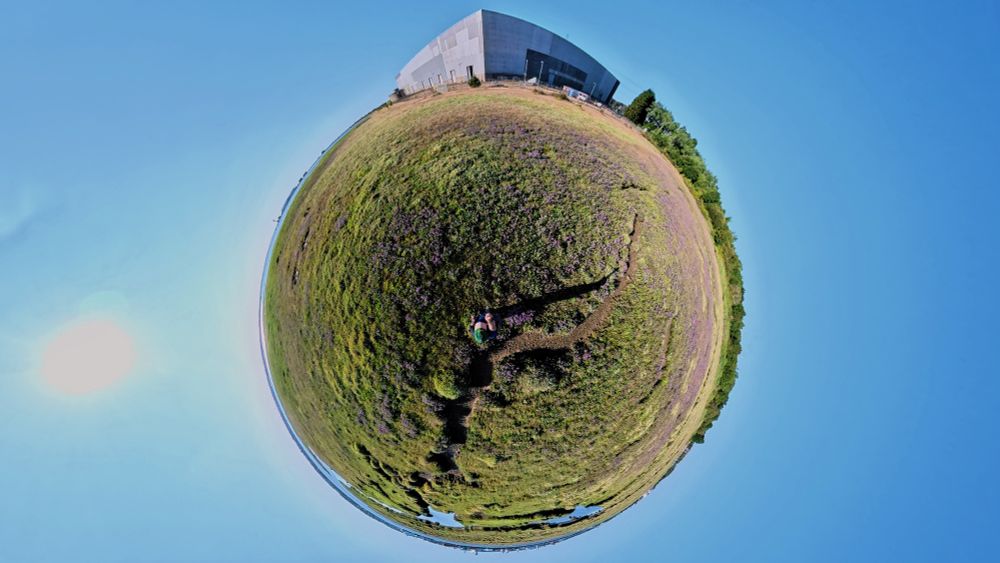 360° photo of Sea Lavender on the saltmarshes near Calshot. Sun on the left hand side