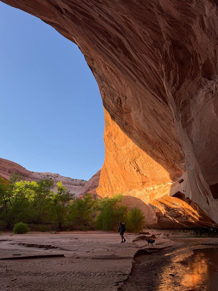 hiking in and out of giant alcoves in Utah