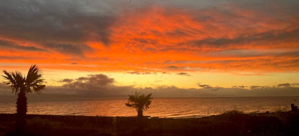 Grey clouds over the water turn red and gold in the setting sun. A pair of stunted palm trees silhouetted in the foreground. 