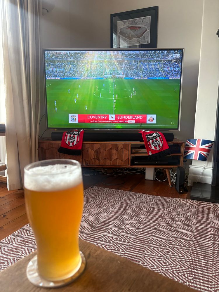 Picture of Coventry vs Sunderland TV screen with pony in front.