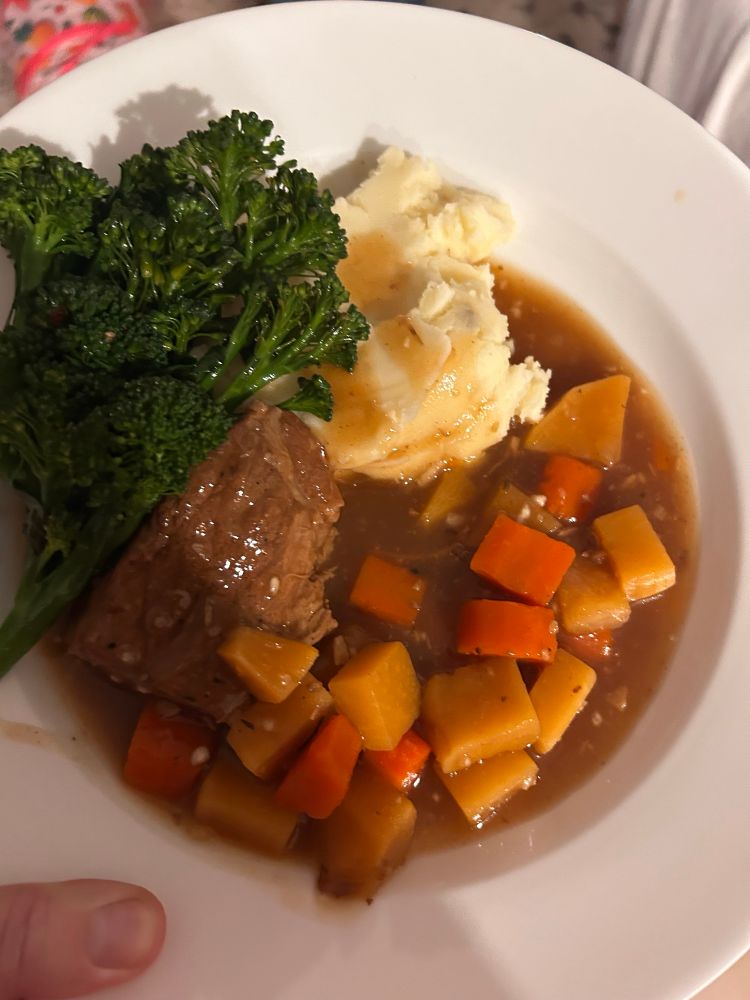 A bowl with a slow roasted beef chunk, stewed carrot and turnip, a side of mashed potato and a mountain of broccolini on the side 