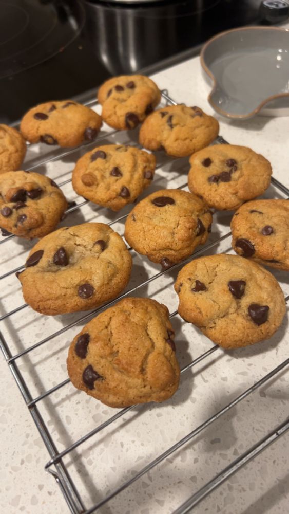 A small tray of a dozen chocolate chip cookies that did not spread and are toasted a touch too much on the bottom, despite a self proclaimed cookie expert mansplaining that my previous cookies (same batch of dough so minimal variable change) was under cooked because my cooking temp was too low and my butter too warm. 
