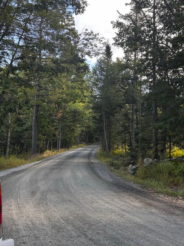 Entrance of Oak Island Drive. A gravel road lined with trees 