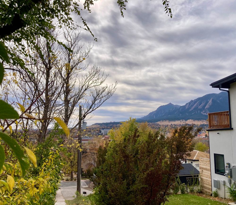view from top of hill in a Boulder neighborhood looking down upon the town..gold trees in foreground and view to distance west of the Flatirons foothills