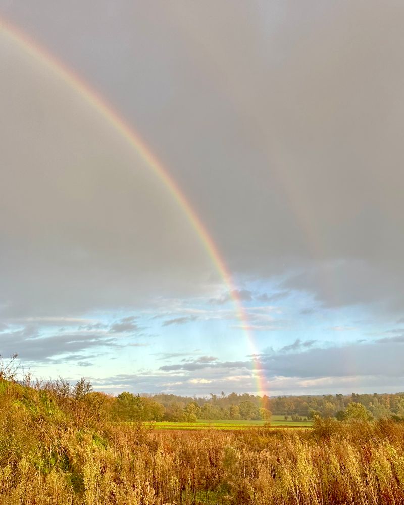 Regenbogen, der auf die Erde trifft.