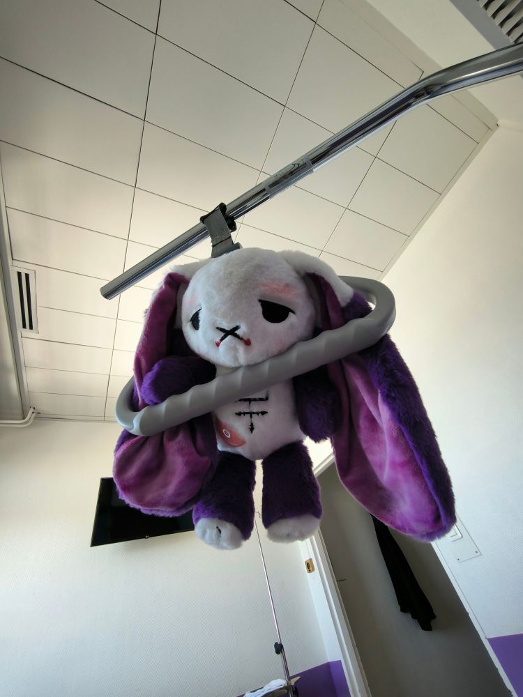 Photo d'une peluche de lapin violette avec une stomie et un air fatigué dans une chambre d'hôpital, pendue à une potence médicale par la tête.