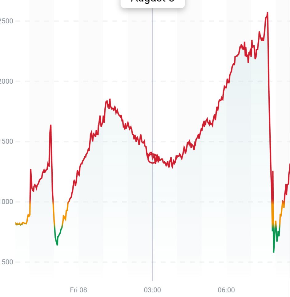 Von kurzer Lüftungsphase unterbrochener Anstieg in der Nacht, Peak knapp über 2500ppm