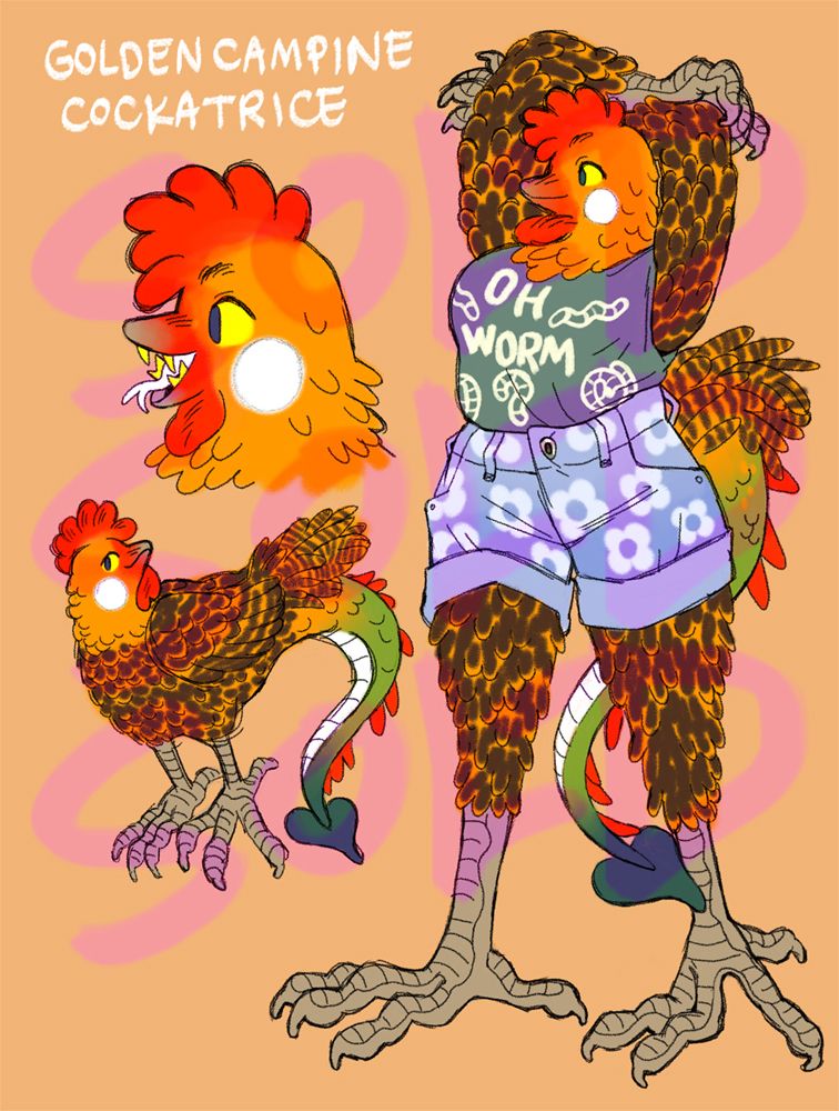 Golden Campine chicken cockatrice